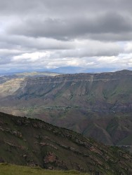 IMG_20240525_133611.jpg