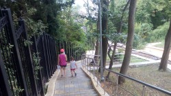 IMG-20160720-WA0028.jpeg