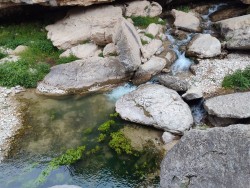 IMG_20240525_181817.jpg