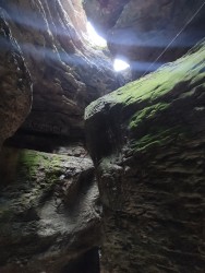 IMG_20240525_183253.jpg