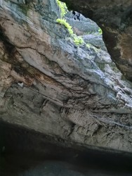 IMG_20240525_184809.jpg