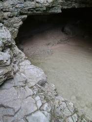 IMG_20240525_184740.jpg