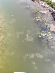 IMG_20240822_125514.jpg