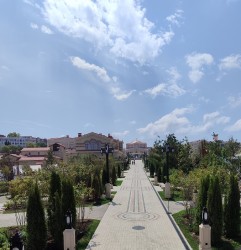 IMG_20240822_125522.jpg