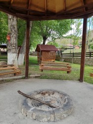 IMG_20240526_073732.jpg