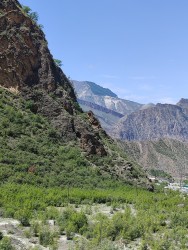 IMG_20240526_104756.jpg