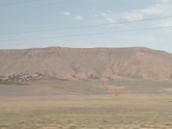 IMG_20240526_114042.jpg