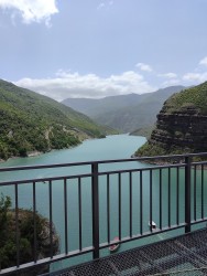 IMG_20240526_124603.jpg