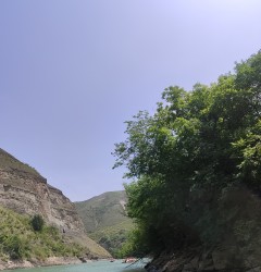 IMG_20240526_130629.jpg