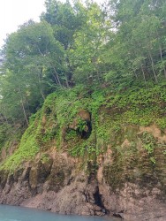 IMG_20240526_132407.jpg