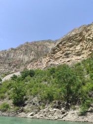 IMG_20240526_133009.jpg