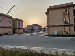 IMG_20250306_175148.jpg