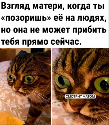 изображение_2025-06-05_133402561.png