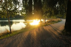 IMG_2582.JPG