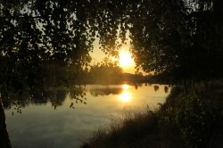 IMG_2578.JPG