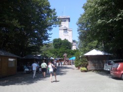 IMG_20160805_115550.jpg