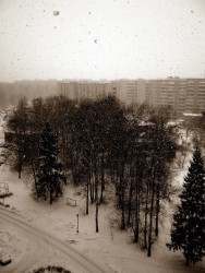 49.jpg