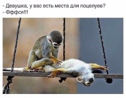 места для поцелуев.jpg