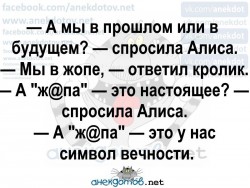 жопа.jpg