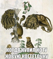 17426101_1441103792574925_6663046671466430742_n.jpg