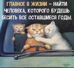 главное.jpg