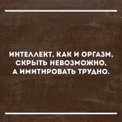 интеллект.jpg