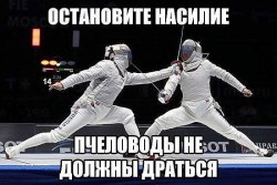 pchelovody.1493496526.jpg