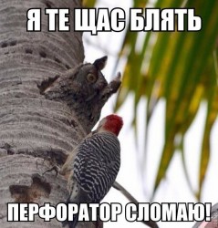 перфоратор.jpg