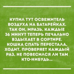 освежитель.jpg