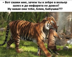 Бабушка.jpg