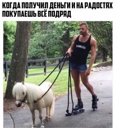 всё подряд.jpg