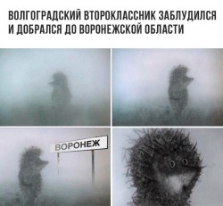 второклассник.jpg