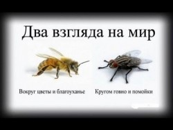 взгляд на мир.jpg