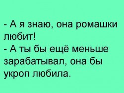 укроп.jpg