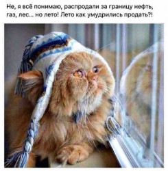 лето продать.jpg