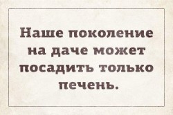 печень.jpg