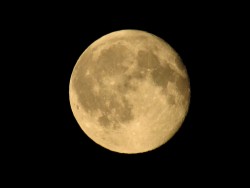 IMG_1478.JPG