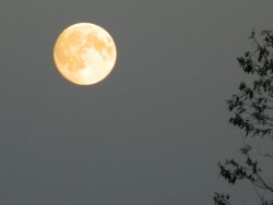 DSCN3186.jpg