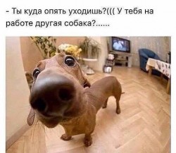 21231748_10155692070069025_7812277220578674950_n.jpg
