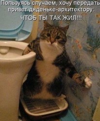чтоб ты так жил.jpg