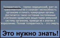 Толерантность.jpg