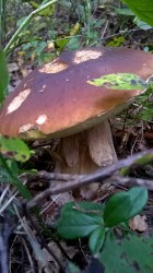 WP_20170916_15_37_10_Pro.jpg