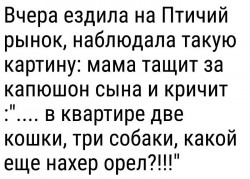 Орёл.jpg