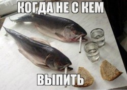 выпить.jpg