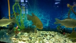 WP_20171215_13_18_18_Pro.jpg