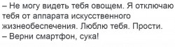 овощ.jpg