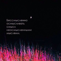бессмысленно.jpg