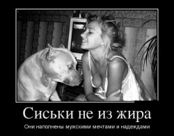 сиськи.jpg