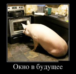 окно в будущее.jpg
