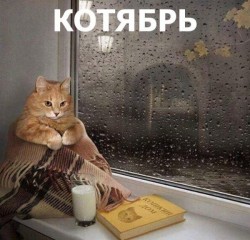котябрь.jpg
